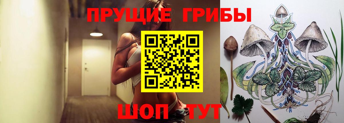 Ленинск-Кузнецкий  Псилоцибиновые грибы GOLDEN TEACHER  Псилоцибиновые грибы Psilocybine cubensis  где купить   Вход с VPN 