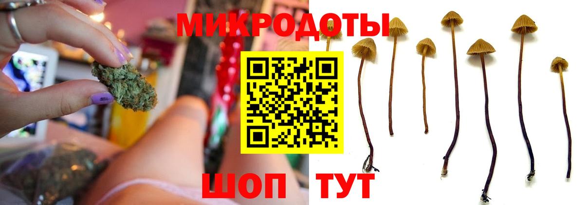 Псилоцибиновые грибы MAGIC MUSHROOMS  цена   Ленинск-Кузнецкий 